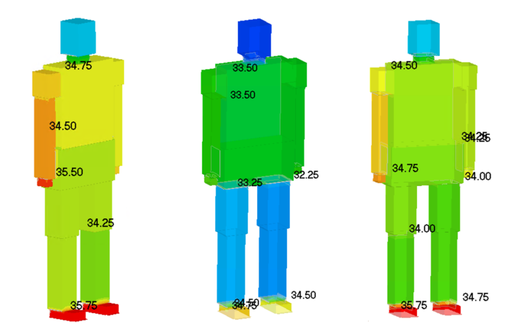 Distribution de la température de la peau de personnes simulées avec le modèle JOS2 et la CFD dans l'étude de la climatisation.